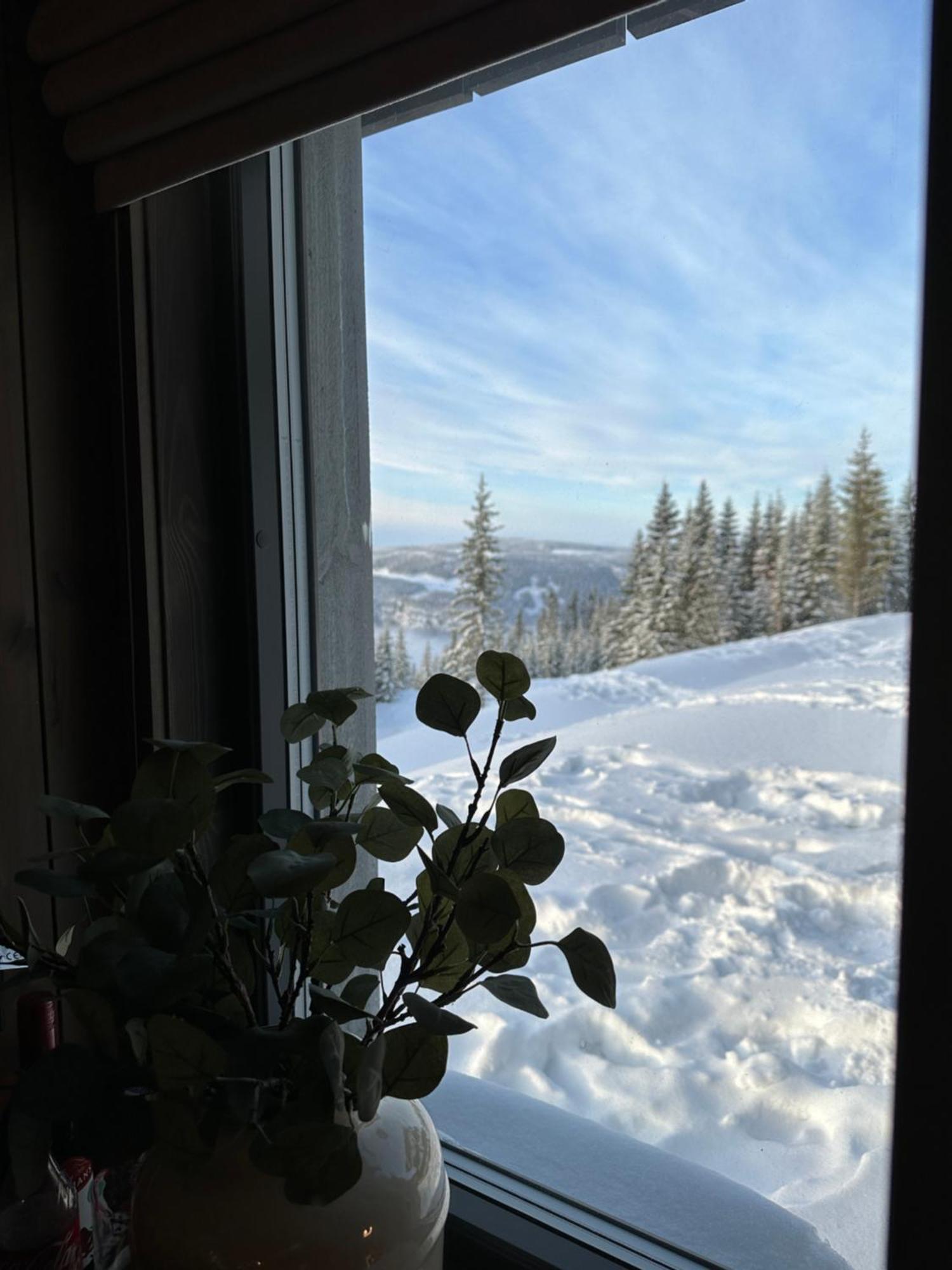 Hafjell Front 8Pers, Ski In/Out. Downhill Bike Esterno foto